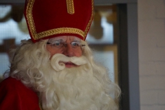 Sinterklaasfeest-NOC-2018-62